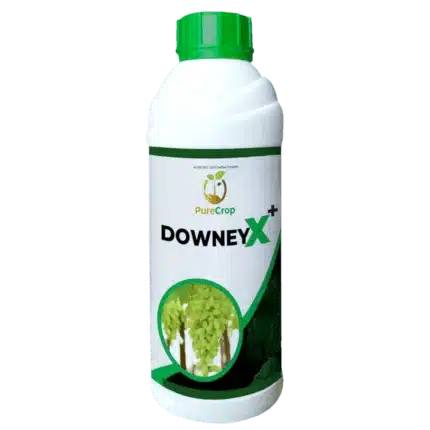 DowneyX Plus | Organic Crop Protection Solution - DowneyX Plus for Healthy Plants